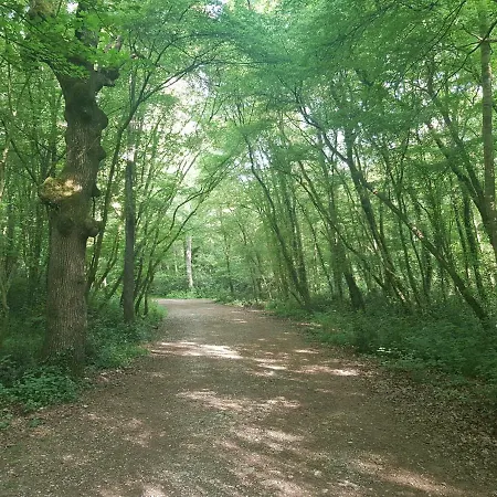 Dea - Three Bedroom Apartamento *