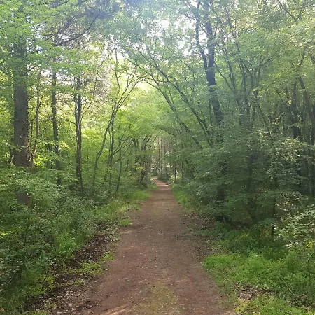 Dea - Three Bedroom Apartamento