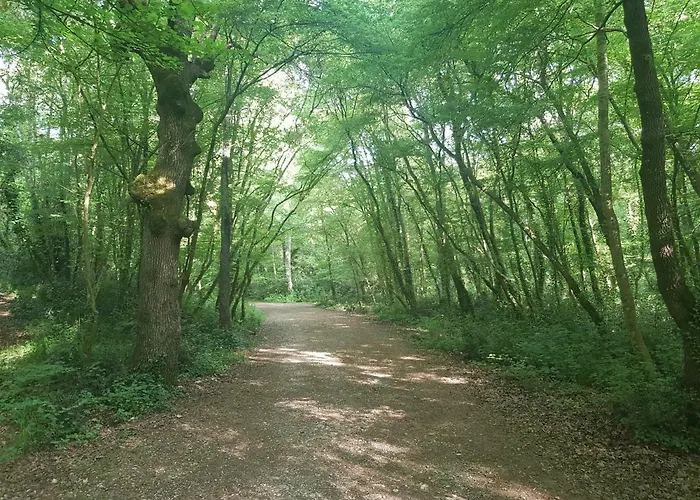 Dea - Three Bedroom Апартаменты *